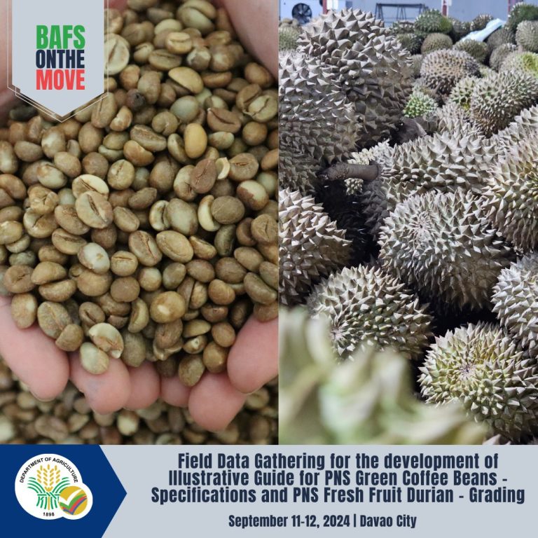 Field Data Gathering for the development of Illustrative Guide for PNS Green Coffee Beans – Specifications and PNS Fresh Fruit Durian – Grading