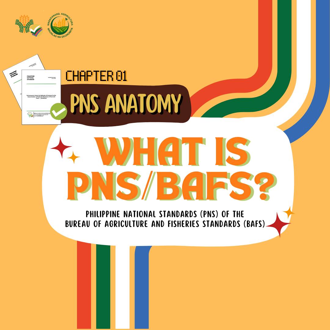 PNS Anatomy Chapter 01: WHAT IS A PNS/BAFS?