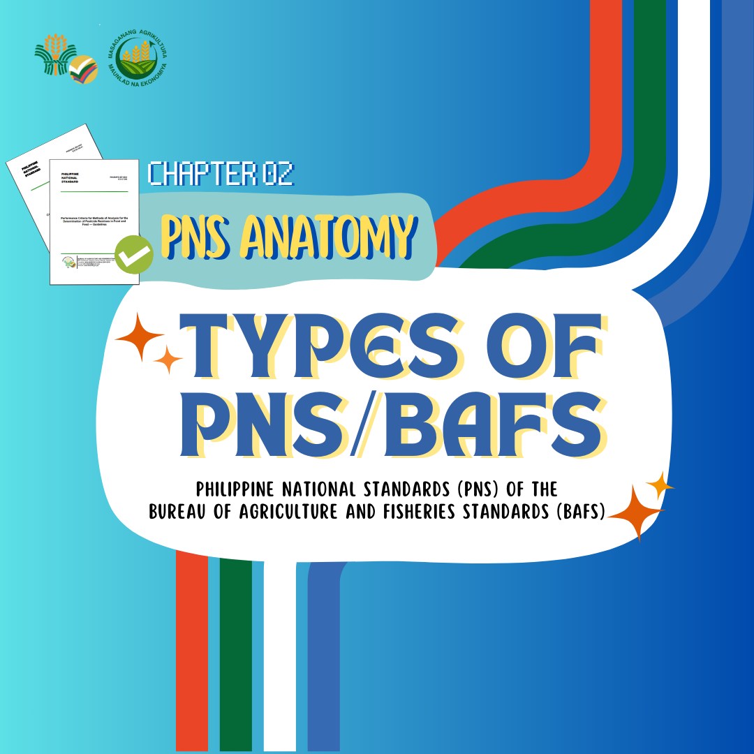 PNS ANATOMY Chapter 2: Types of PNS/BAFS