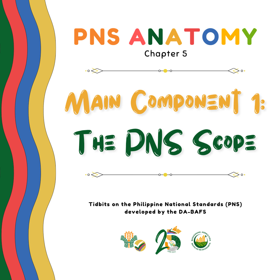 PNS ANATOMY Chapter 5 – Main Component 1: The PNS Scope