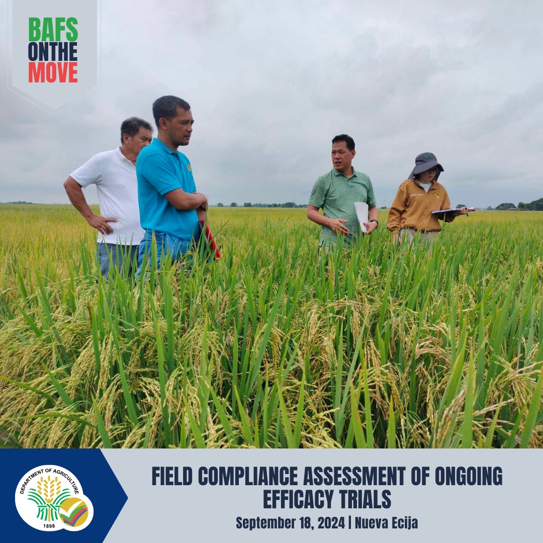 DA-BAFS assessment team conducted a field compliance assessment (FCA) of ongoing efficacy trials in Science City of Muñoz, Nueva Ecija.