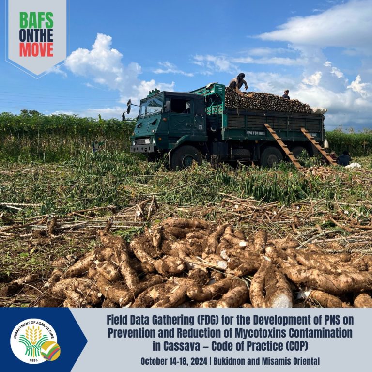 Field Data Gathering (FDG) activity to support the development of the Philippine National Standard (PNS) on the Prevention and Reduction of Mycotoxins contamination in Cassava-Code of Practice (COP)