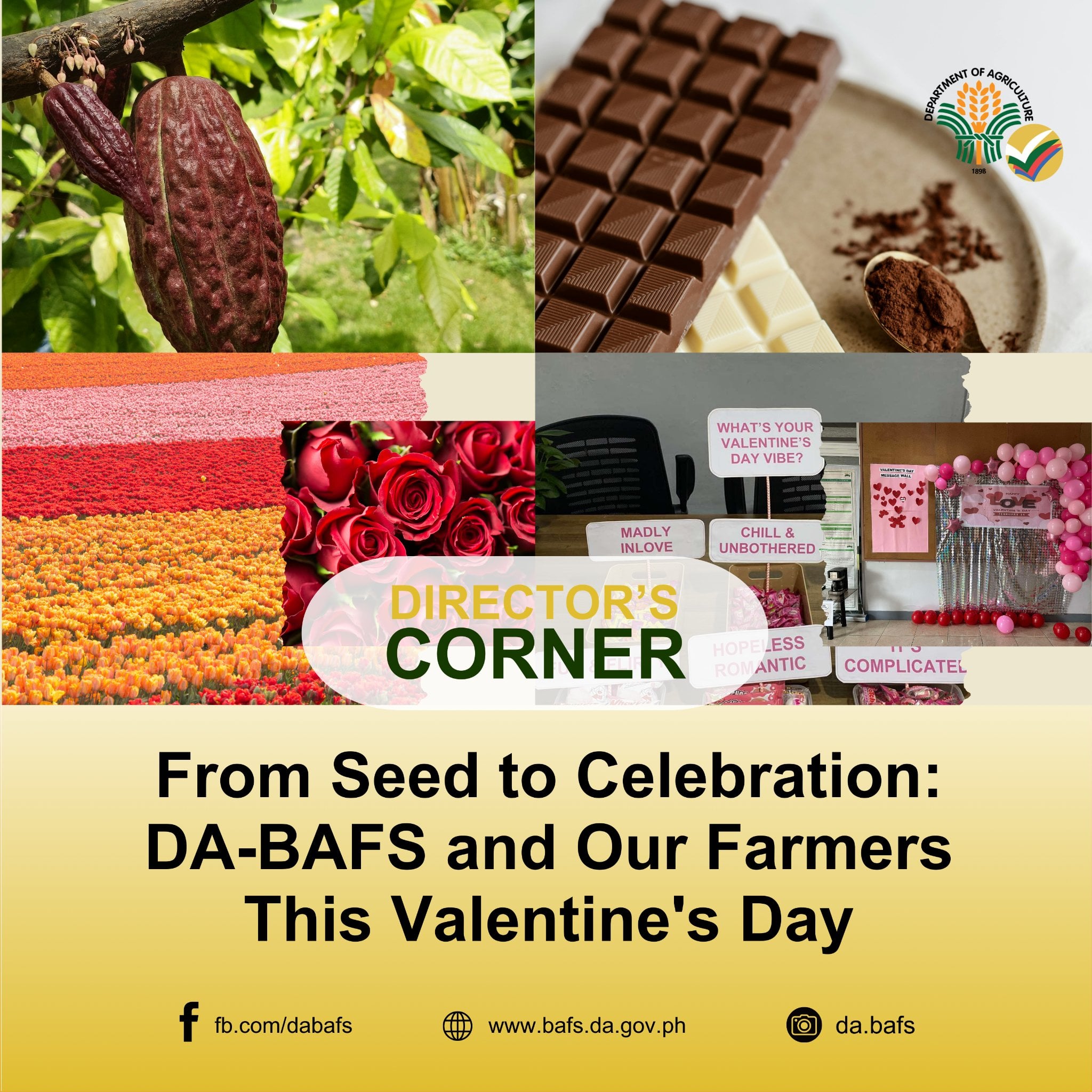 From Seed to Celebration: DA-BAFS and Our Farmers This Valentine’s Day