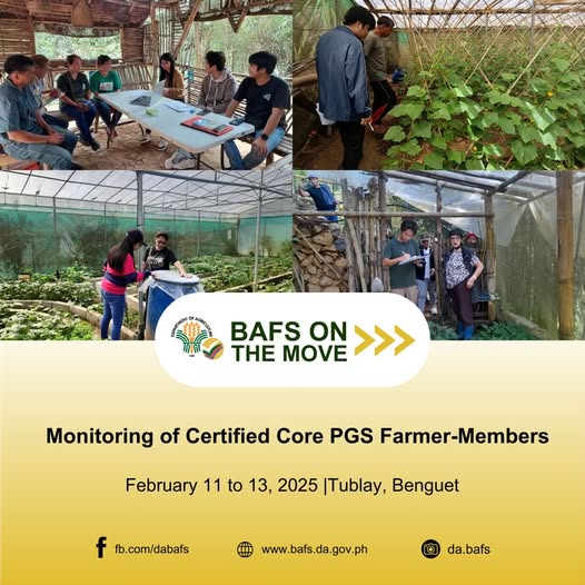 The Monitoring Team from the DA-BAFS Organic Agriculture Division and DA-Regional Field Office Region CAR Regulatory Division monitored certified core PGS group farmer-members in Benguet