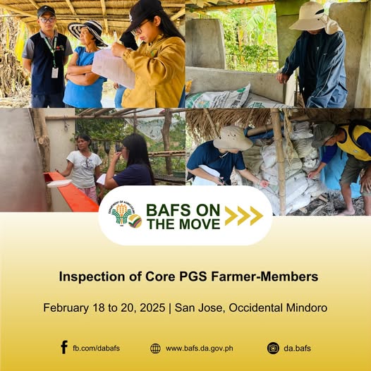 Inspection of Core PGS Framers-Memebers