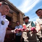 25 tons of smuggled red onions from China intercepted in Misamis Oriental