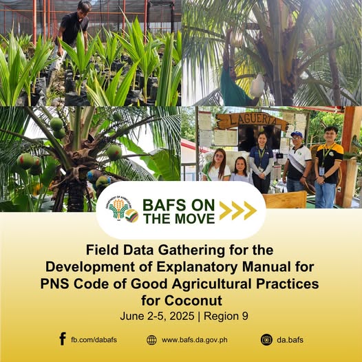 Field Data Gathering for the Development of Explanatory Manual PNS Code of Good Agricultural Practices for Coconut
