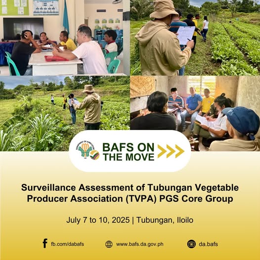 DA-BAFS Conducts Surveillance Assessment of Tubugan Vegetable Producer Assosciation (TVPA) PGS Core Group
