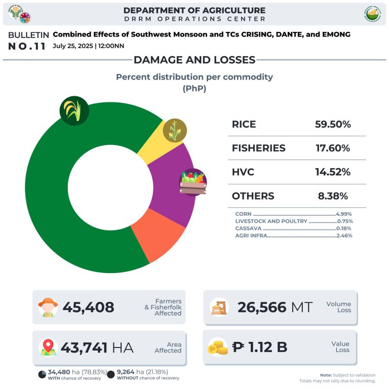 Bad weather damage on agriculture tops P1.1B; rice hardest hit