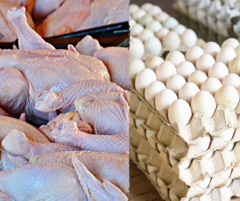 DA lifts poultry import ban on Australia