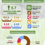 Agriculture rebound affirms DA policies on right path, say Tiu Laurel