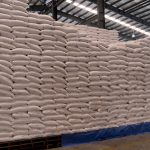 President Marcos’ rice import halt, delay of tariff action a calibrated move—DA chief